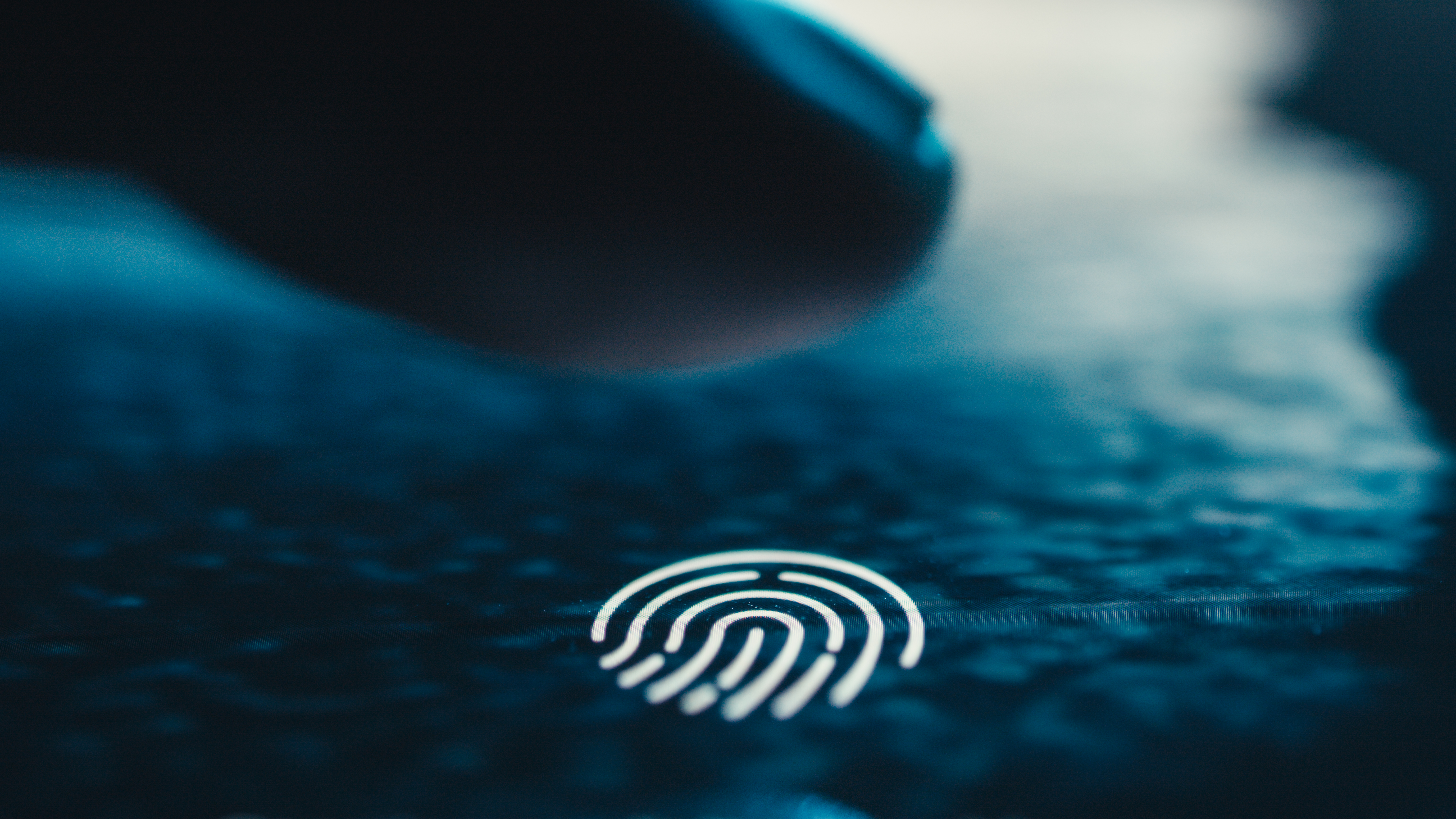 Biometric Authentication in the Middle East: Ensuring Data Security Across All Middle Eastern Countries